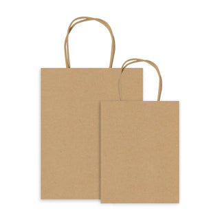Plain Kraft Gift Bags - 10 Pack