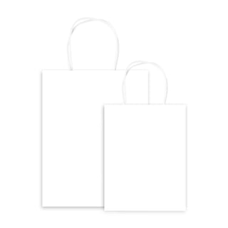 Plain White Gift Bags - 10 Pack