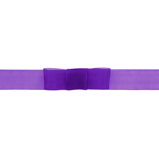 Organdy Purple Ribbon - 10M