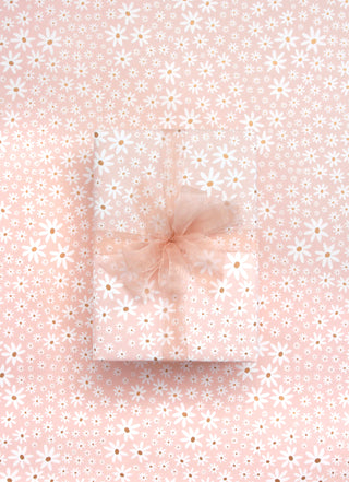 Daisy Chain Champagne 10M Wrapping Paper