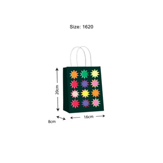 Prism Multi Gift Bags - 10 Pack